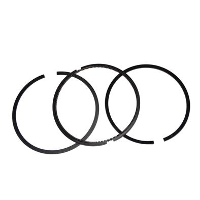 Immagine di RING KIT 106,5 MM