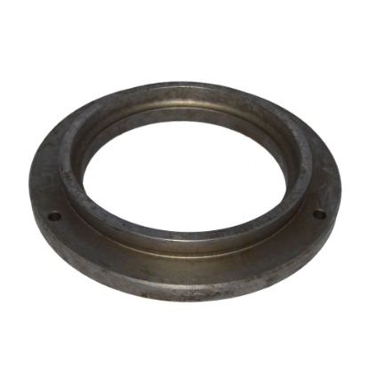 Immagine di BRAKE DISK PLEYT