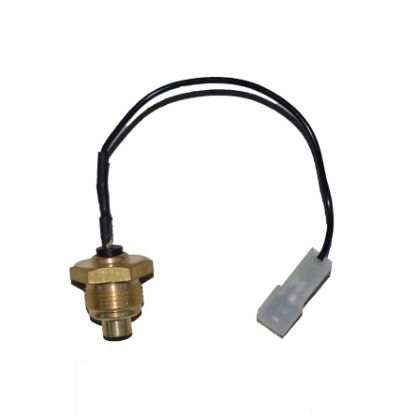 Immagine di TEMPERATURE INDICATOR WITH CABLE