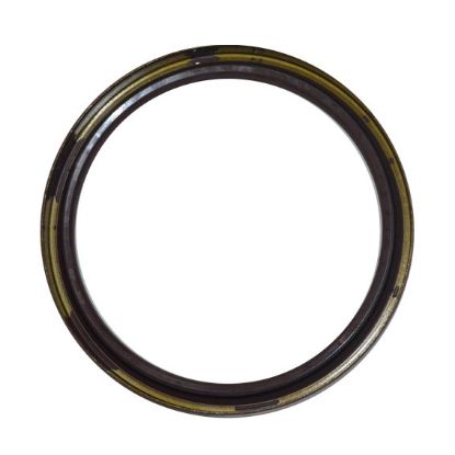 Immagine di SEAL 110x130x12 (VITON)
