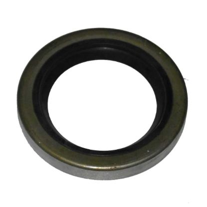 Immagine di SEAL 55x80x10