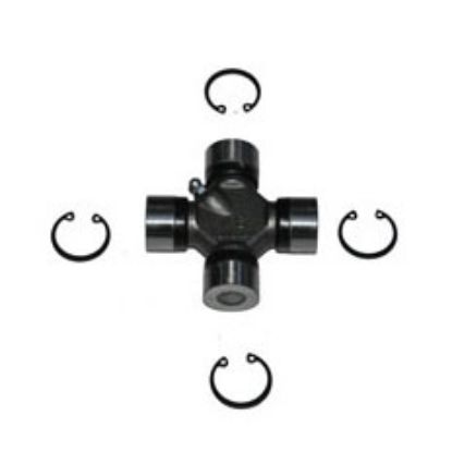 Immagine di SPIDER 27x81,80