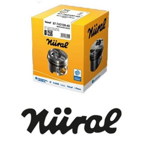 Immagine di PISTON WITH RINGS