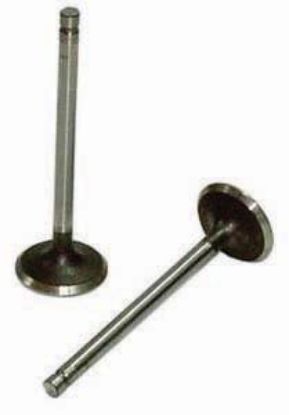 Immagine di VALVE 010 EX