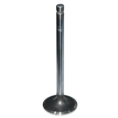 Immagine di VALVE STD IN (12051)