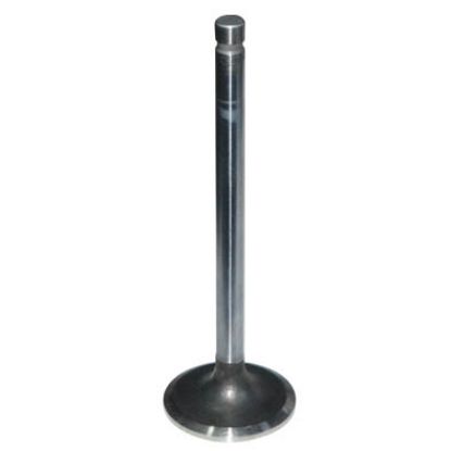 Immagine di VALVE STD IN (12051)