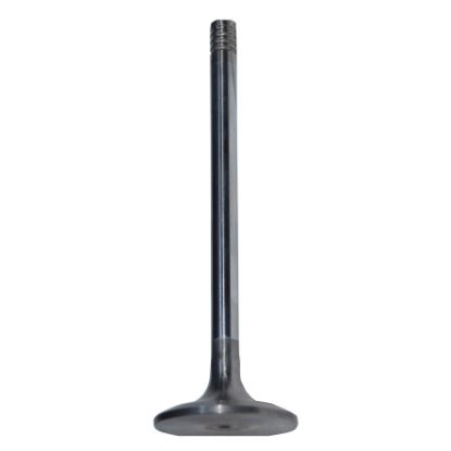 Immagine di VALVE STD IN 4  CLIPS