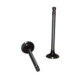 Immagine di VALVE STD EX 4  CLIPS