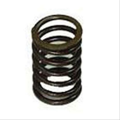 Immagine di VALVE SPRING
