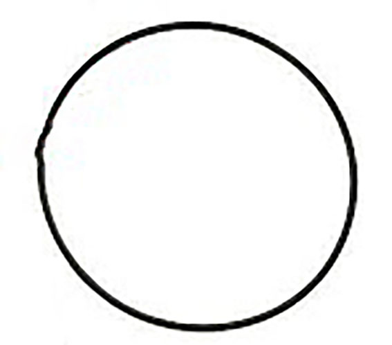 Immagine di PINION CAP ORING