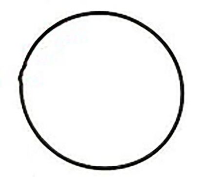 Immagine di PINION CAP ORING