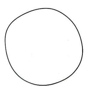 Immagine di 0RING - AXLE TO DIFF. CASE