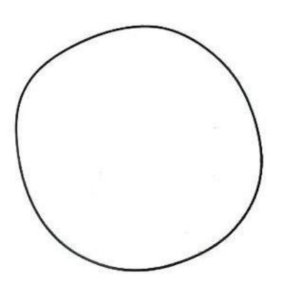 Immagine di 0RING - AXLE TO DIFF. CASE