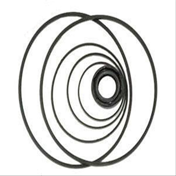 Immagine di HYD, PUMP O RING KIT