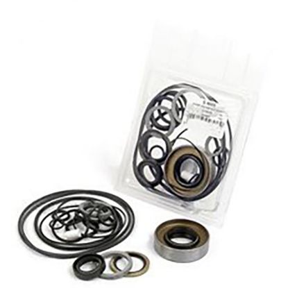 Immagine di HYDRAULIC PUMP REPAIR KIT
