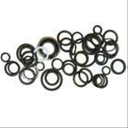 Immagine di HYD.O RING KIT LESS PISTON O RING