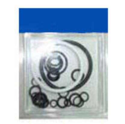 Immagine di HYD.O RING KIT W/TEFLON BACK UP
