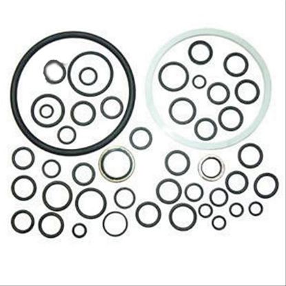 Immagine di HYD.O RING KIT W/TEFLON BACK UP