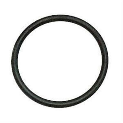 Immagine di O RING - HYD.PISTON