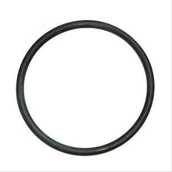 Immagine di O RING - HYD. PISTON