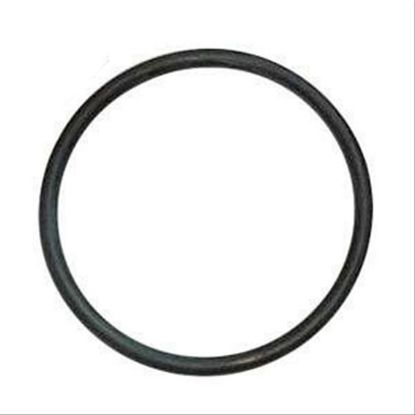 Immagine di O RING - HYD. PISTON
