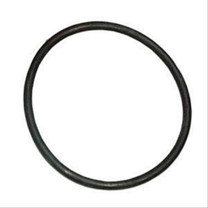 Immagine di O RING - HYD. PISTON