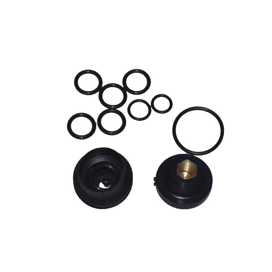 Immagine di O RING KIT SERVICE VALVE