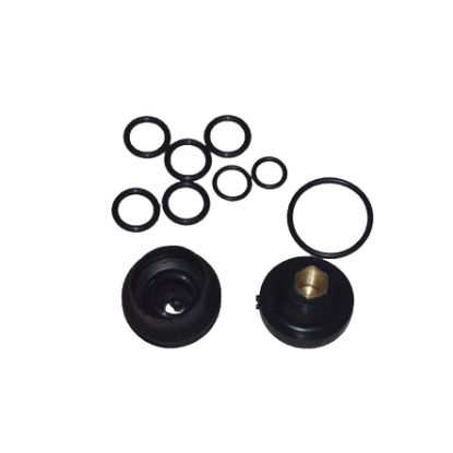 Immagine di O RING KIT SERVICE VALVE