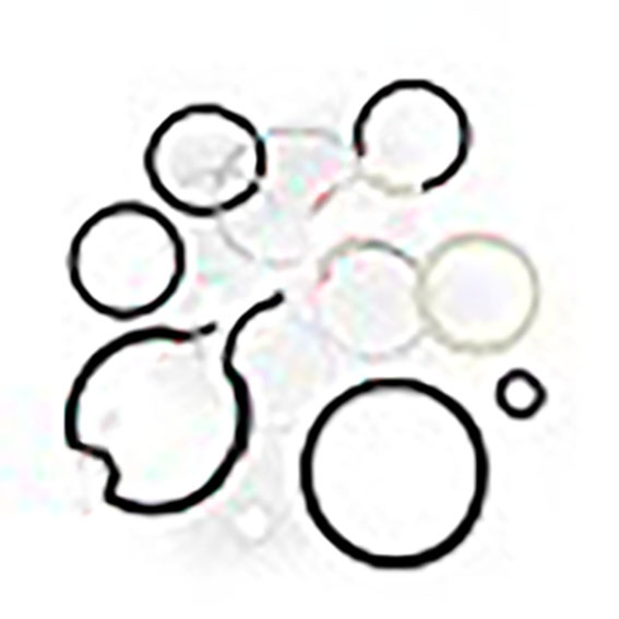 Immagine di O RING KIT SERVICE VALVE