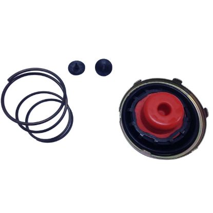 Immagine di FUEL PUMP REPAIR KIT