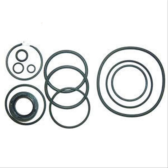 Immagine di STEERING ORING KIT W/O GASKET