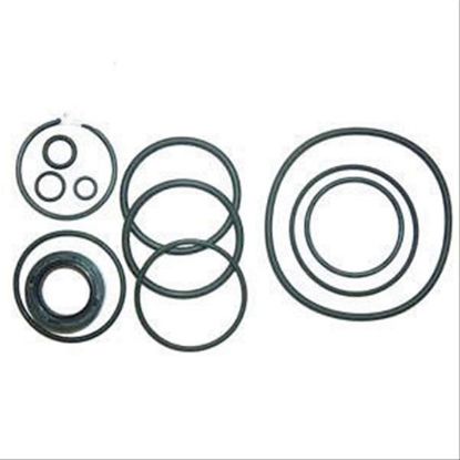 Immagine di STEERING ORING KIT W/O GASKET
