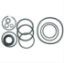 Immagine di STEERING ORING KIT W/O GASKET