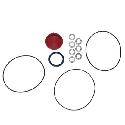 Immagine di KIT, SEALS