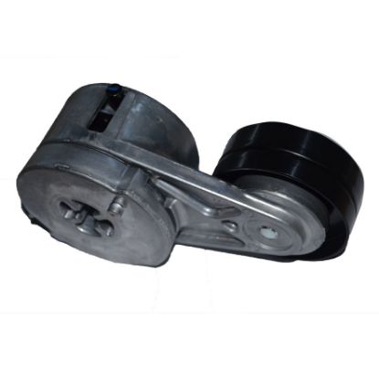 Immagine di TENDICINGHIACPT.