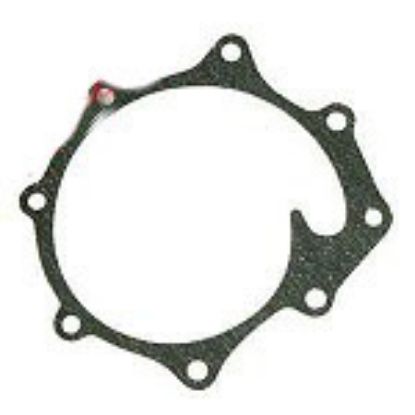 Immagine di WATER PUMP BOTTOM GASKET