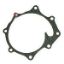Immagine di WATER PUMP BOTTOM GASKET