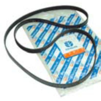 Immagine di FAN BELT