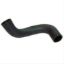 Immagine di RADIATOR HOSE BOTTOM