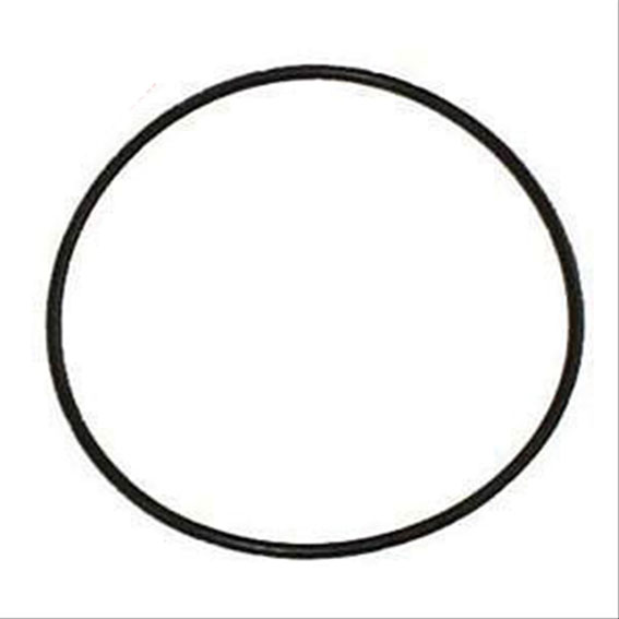 Immagine di O RING AIR FILTER