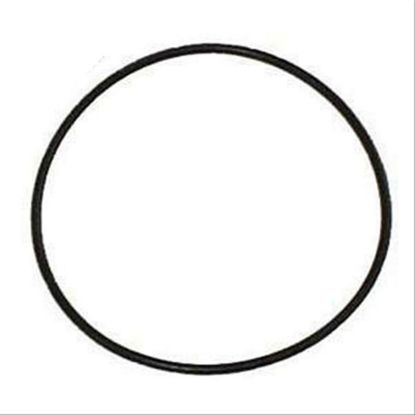 Immagine di O RING AIR FILTER