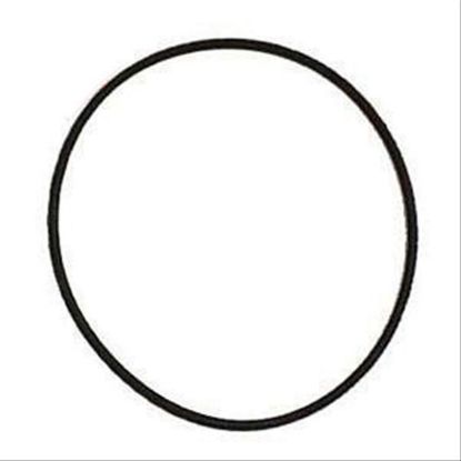 Immagine di O RING AIR FILTER