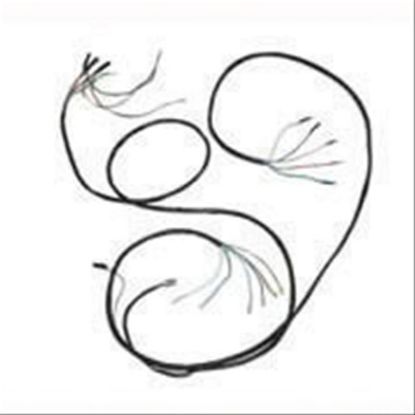 Immagine di WIRING HARNESS FRONT