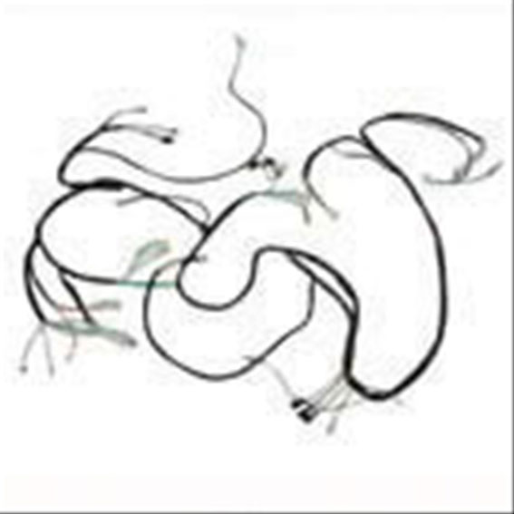 Immagine di WIRING HARNESS REAR