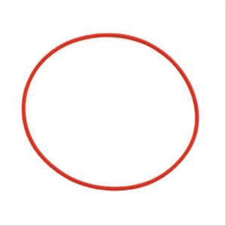 Immagine di LINER   O   RING (THINNER) SILICON
