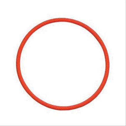 Immagine di LINER   O   RING (TICKER) SILICON