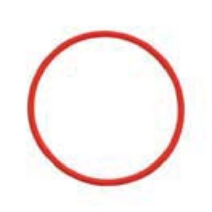 Immagine di LINER   O   RING (THINNER)