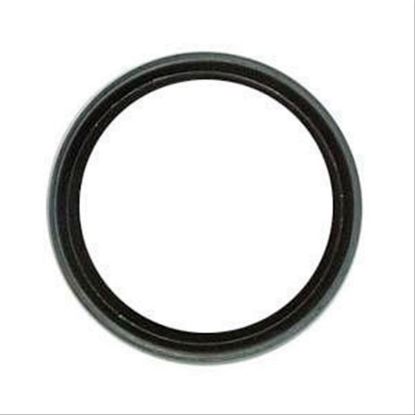 Immagine di SEAL - HYD. - PISTON.