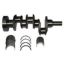 Immagine di CRANK SHAFT (LIP SEAL) W/ BEARING