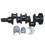 Immagine di CRANK SHAFT (ROPE SEAL TYPE) W/BEARING
